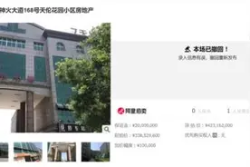 内斗哪家强？中国山东找蓝翔图片