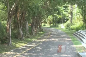 虫虫出动！不想被它们“骚扰”，谨慎穿这个颜色的衣服图片