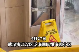 流浪猫被困墙缝，爱心居民接力救援图片