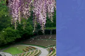 假日书房｜宗璞：生命的长河是无止境的图片