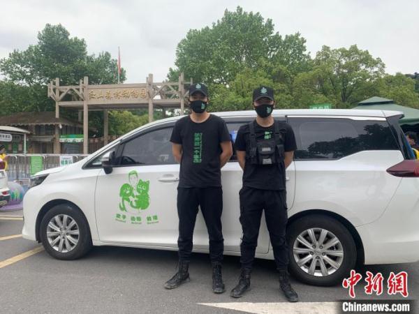 “霸屏”南京的“大师兄”去哪了？当地志愿者捕获一只猕猴