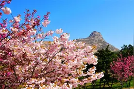 速看！八大自驾游线路，沿途景美又好吃图片