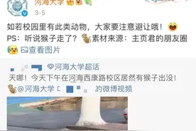 团伙流窜作案？一成员被抓（现场画面曝光）图片