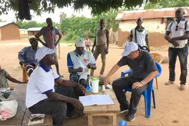 青蒿素问世50年，“抗疟”历程广东中医药不缺席图片