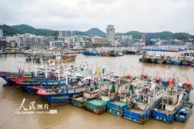 浙江舟山：又到休渔季图片