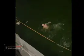 救起轻生女孩后，22岁小伙转身就走……图片