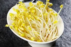 发一盘豆芽，为你的餐桌添个菜吧图片