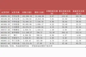 国家队一季度持仓曝光！现身325家公司前十大股东，中信证券、立讯精密等个股被增持图片