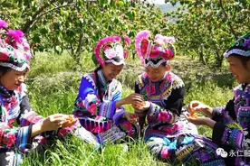 维的樱桃惹人爱图片