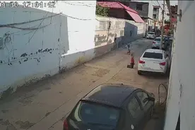 男孩骑行撞上轿车后跪地求原谅，车主：不追究图片