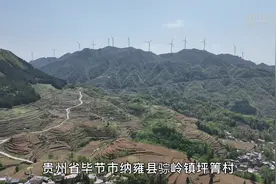 奋战14年 他让荒山变茶园