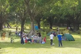 注意！这种“毒虫”近期活跃！有人被咬进ICU……图片