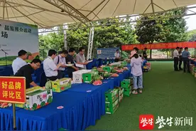 江苏第一“甜”的西瓜是怎么“诞生”的？图片