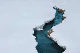 它凭什么是“千年老二”？图片