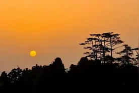 接不到团的黄山导游，天天举着手机开直播图片