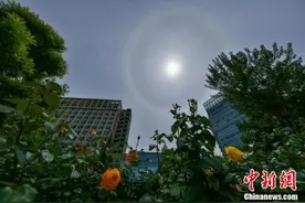 北京天空现日晕景观图片