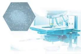 干细胞研究与应用——为人类生命健康提供保障（开卷知新）图片