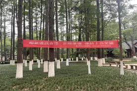 搭伴过日子或再婚！老年人的黄昏恋，想说爱你不容易图片