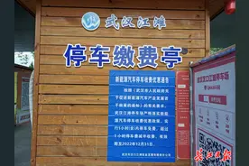 停12小时最低收费3元，新能源车在这些公园停车真划算图片