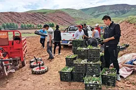 瞭望 | 疫情下的创业之路带来哪些启示？图片