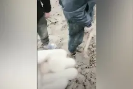 河南开封一河滩疑现古钱币引村民“淘金”，文物部门已介入视频封面