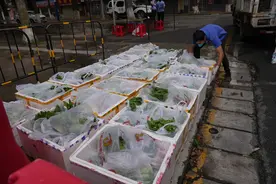 探访坡头封控区，暖心“大白”将生活物资送上门图片