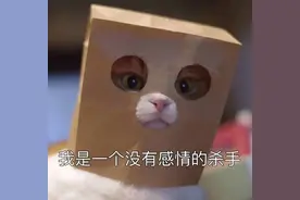 Siri，你为什么变成了人工智障？图片