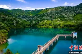 航拍江西新余夏花如雪“飘”山林图片