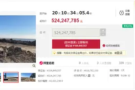 海域使用权5.24亿元司法拍卖 业主公司老总系辽足俱乐部董事长图片