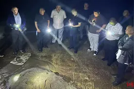 宜宾鳄鱼失踪事件追踪：失主称已寻获5条 其中两条分别在工地和鱼塘被找到图片