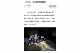 四川宜宾6条鳄鱼失踪事件最新进展：已寻获2条图片
