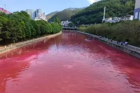 广西一地河水突然变红，淀粉厂称与其无关，官方正调查图片