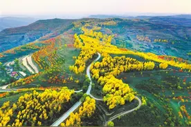 「只此青绿·三北工程在甘肃」华家岭：甘肃版“塞罕坝”图片