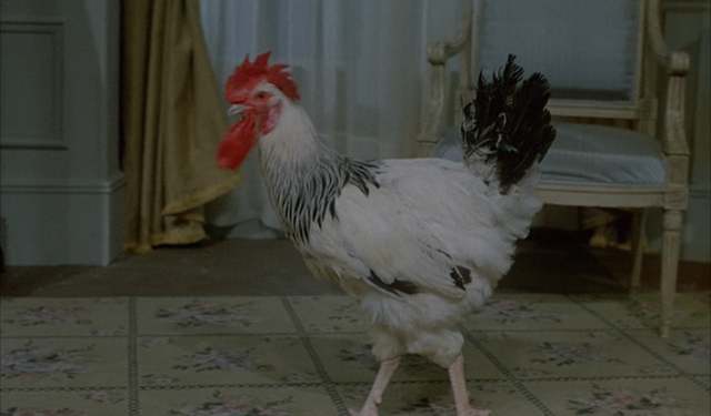 点进来感受血压升高：为什么所有网络流行语的尽头都是阴阳怪气？