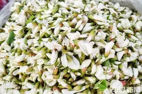 又是一年槐花香图片