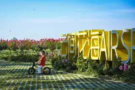 来云间花海，打卡“花海+飞机”照，美图片