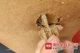 卖水果还是卖“水泥”？南宁一水果批发市场如此卖果……图片