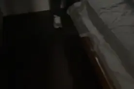 揭露了！这些“千层套路”深似海……图片