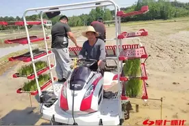 种粮大户“成长记”——记辰溪世宣农机农技水稻种植农民专业合作社李世宣图片