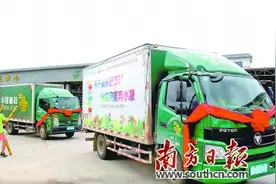 3公斤荔枝运费低至12元 寄递费下降幅度最高达75%图片