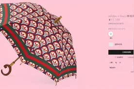 极目锐评｜万元的雨伞不防水，果然是中看不中用图片