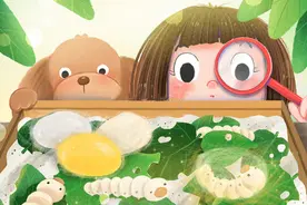 静听闽侯丨养蚕记图片