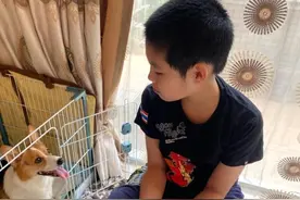 搭产房、换尿垫、擦身子……封控期间，上海5年级男孩给家中狗妈妈当“助产士”图片