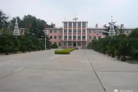 张涛｜|再见，莱师图片