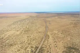 只此青绿·三北工程在甘肃③丨林下经济，让沙漠成了致富宝地图片