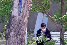 看！哈尔滨马家沟畔树洞里有“小动物”图片