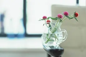 夜雨丨宋六梅：都是电话惹的祸图片