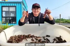​​长在稻田里的小龙虾，还能比别人早一个多月上市！海盐“90后”成养虾达人图片