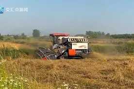 夏收将至，找不到农机？“网约农机”开到田间地头图片