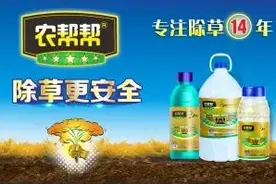 嘧菌酯、甲霜灵、氟吡菌酰胺、丙硫菌唑……谁是内吸杀菌剂最大热门？图片